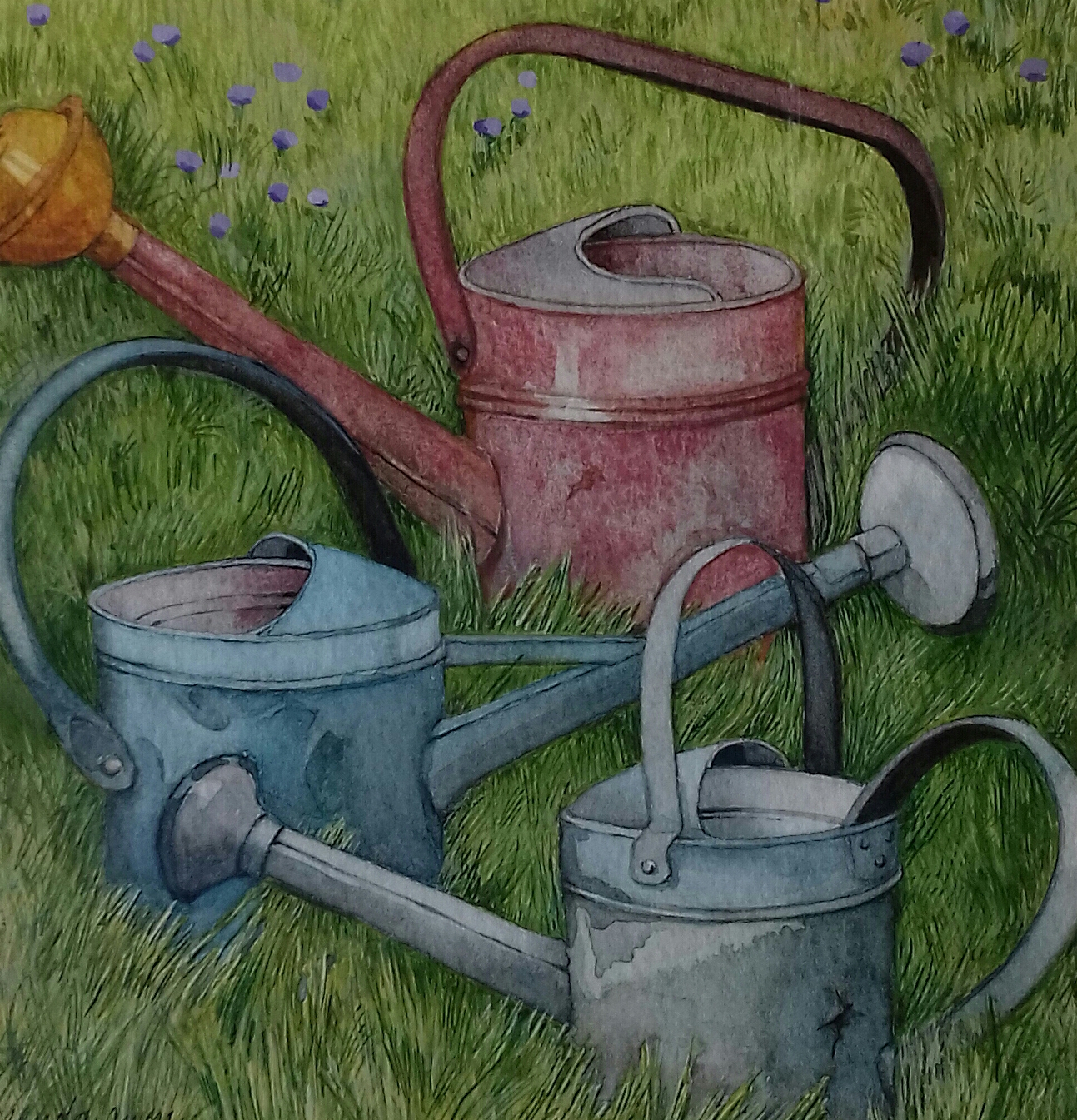 Three Watering Cans
