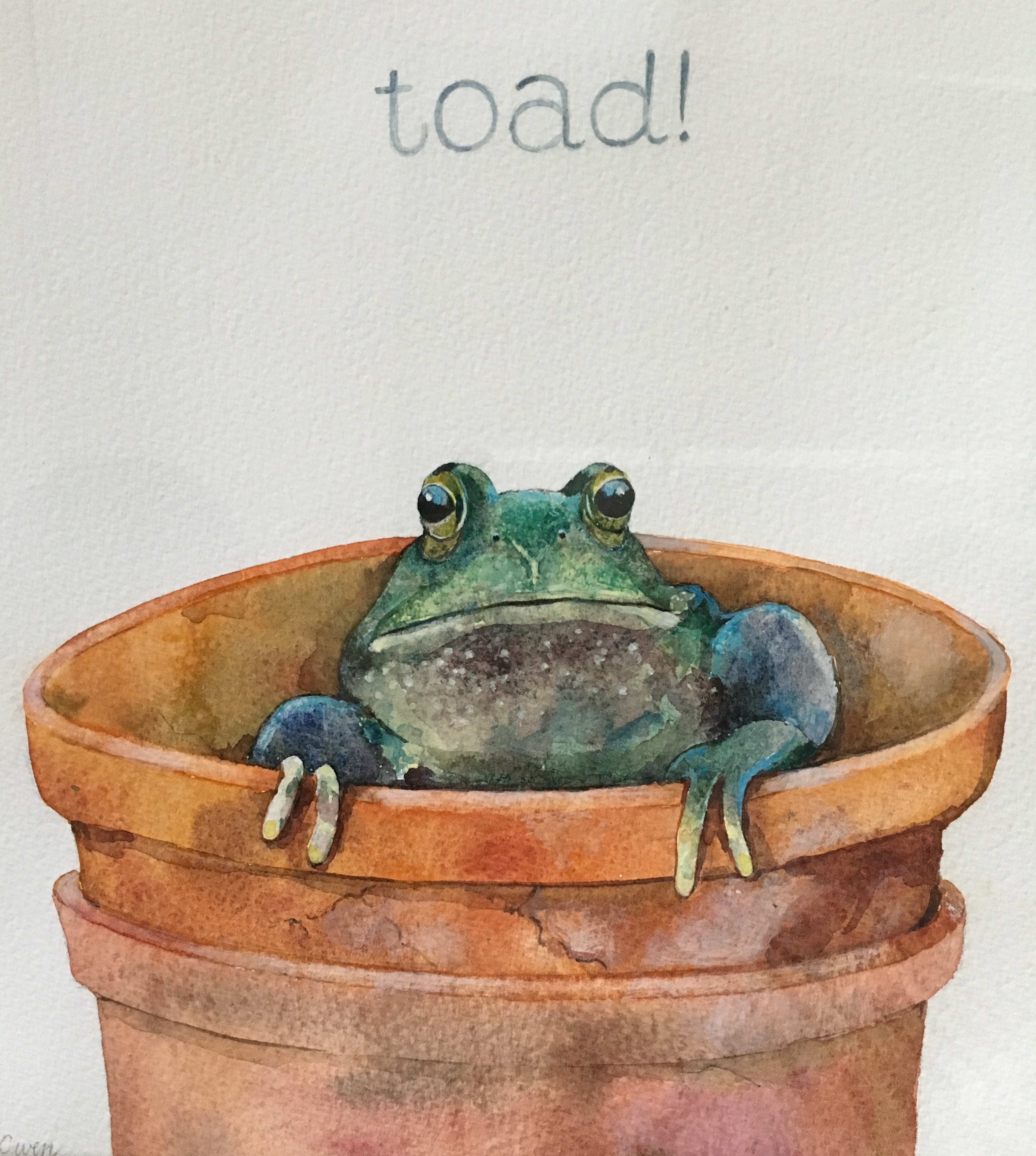 Toad! by Linda Owen