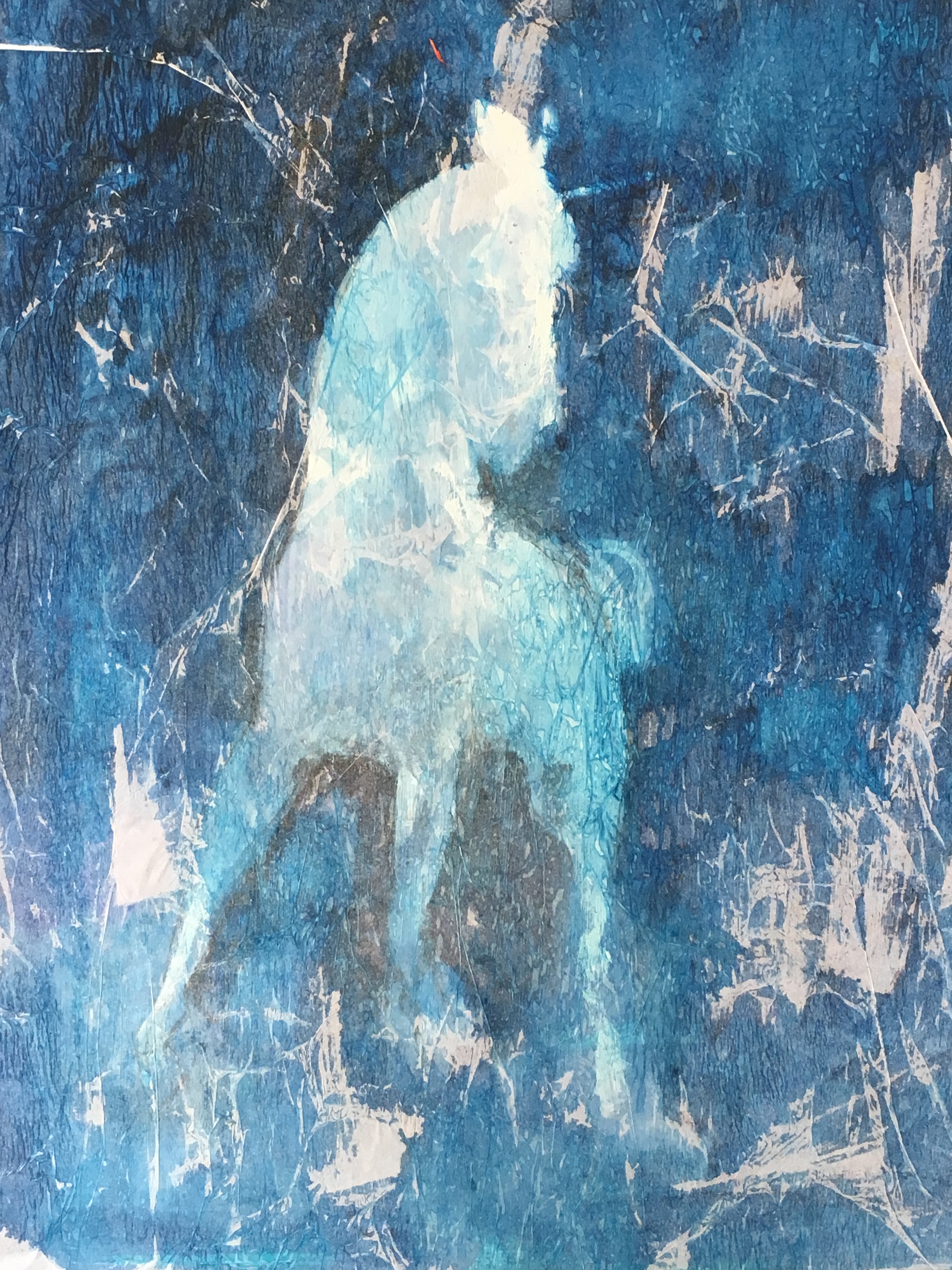 Unicorn - Linda Owen