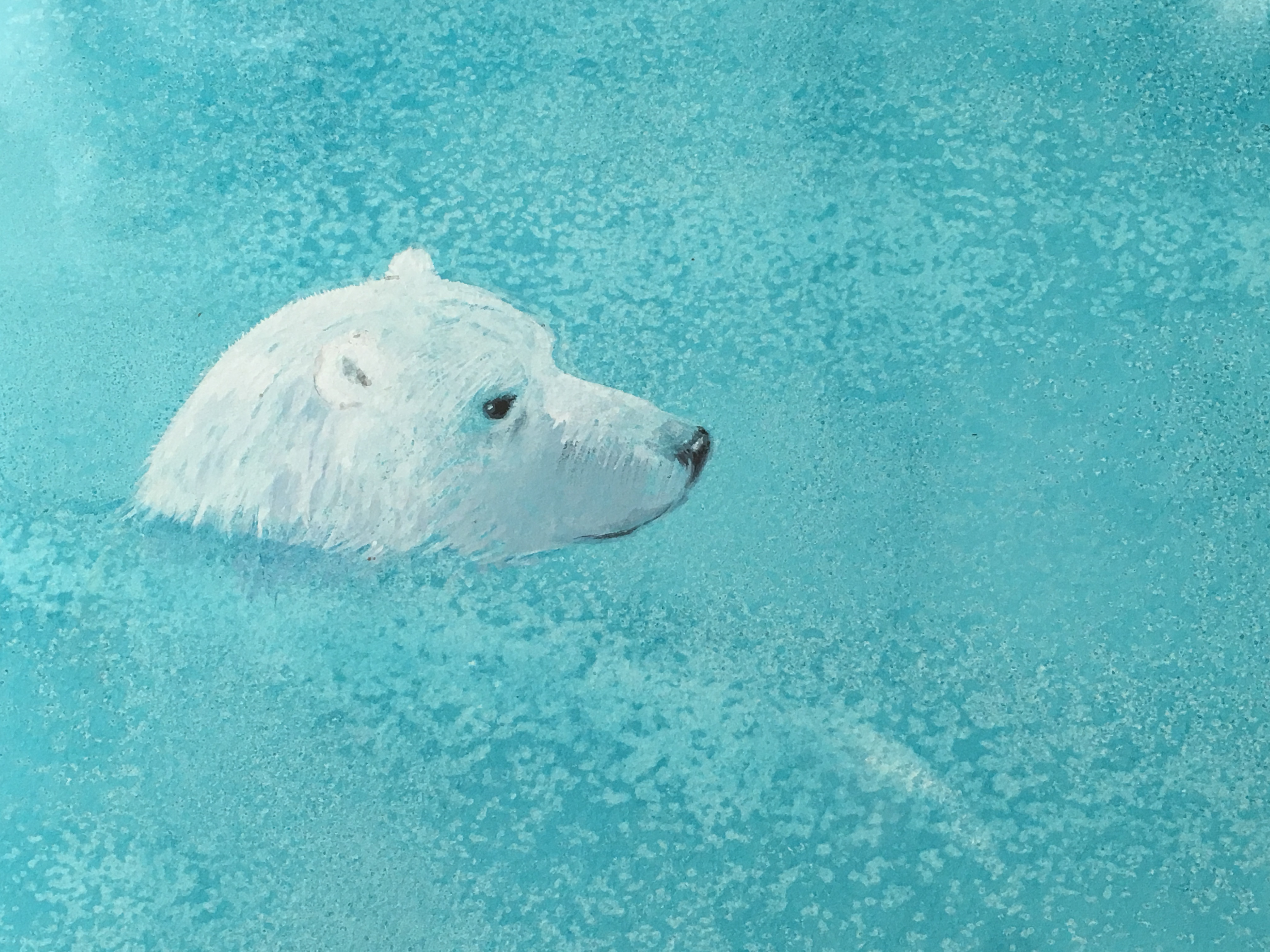 Polar Bear in Arctic Waters - Linda Owen