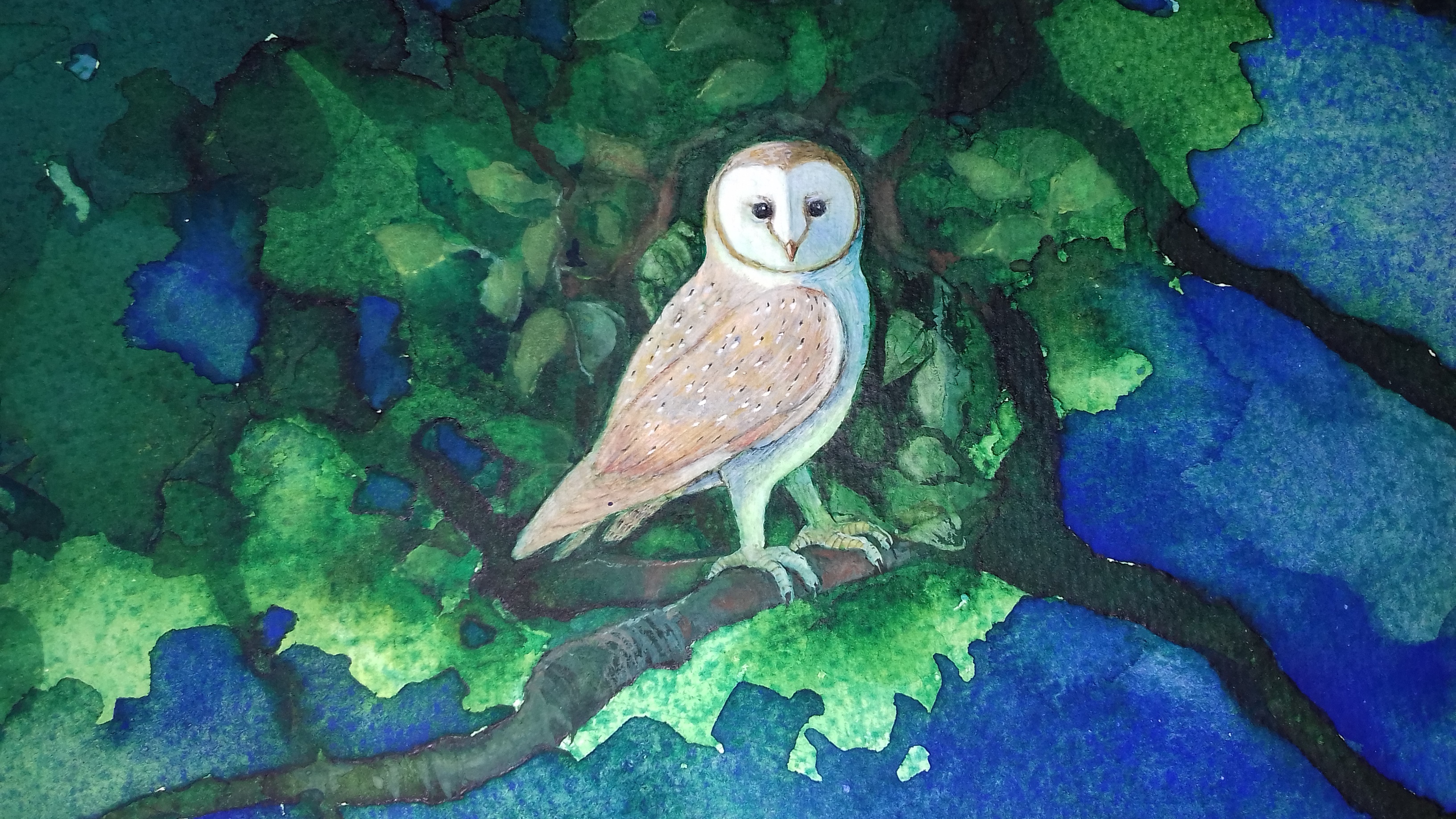 Midnight Owl by Linda Owen