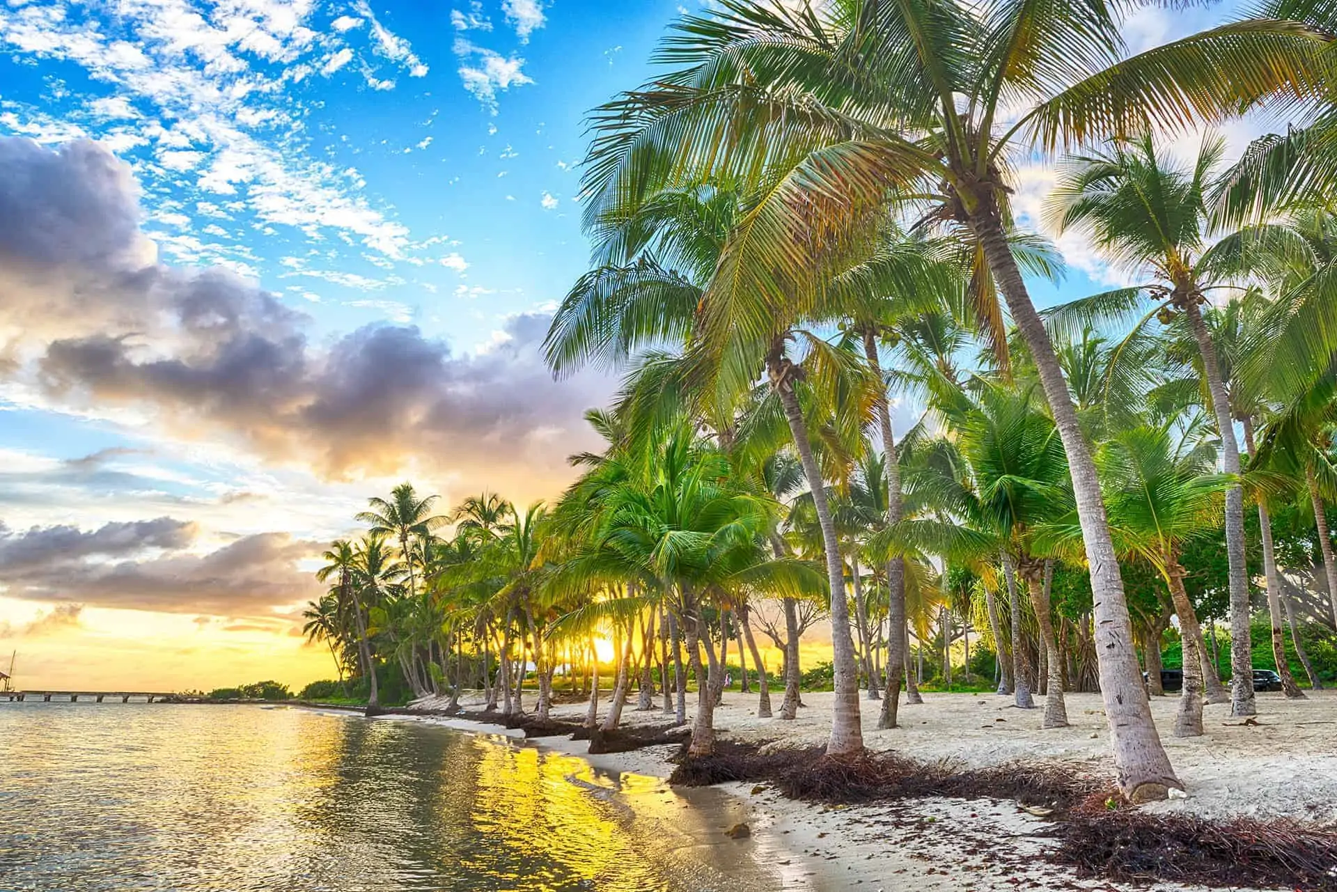 quand-partir-en-guadeloupe.webp