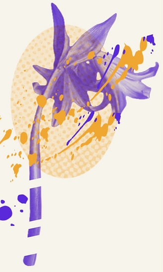 Couverture identité visuelle-100_edited_edited_edited.png