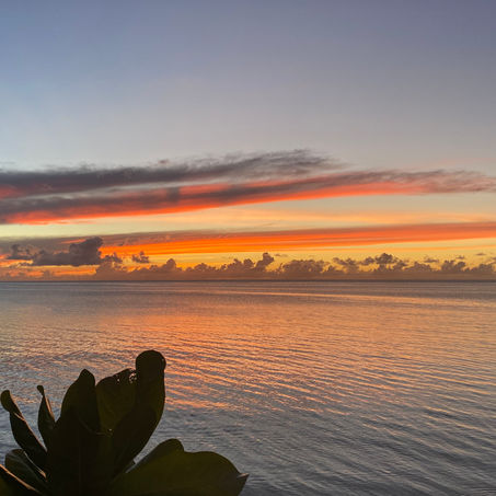 How Do We Find Our Purpose in 2020?