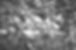 Skulls_edited_edited.jpg