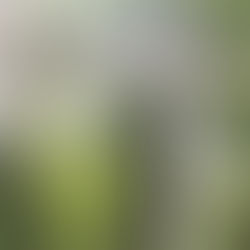 Out of the debts Lord