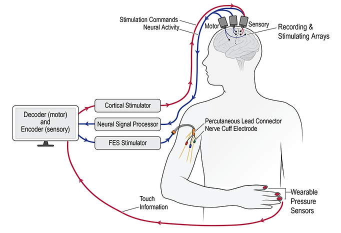 Bi-directional BCI-FES System Diagram.png