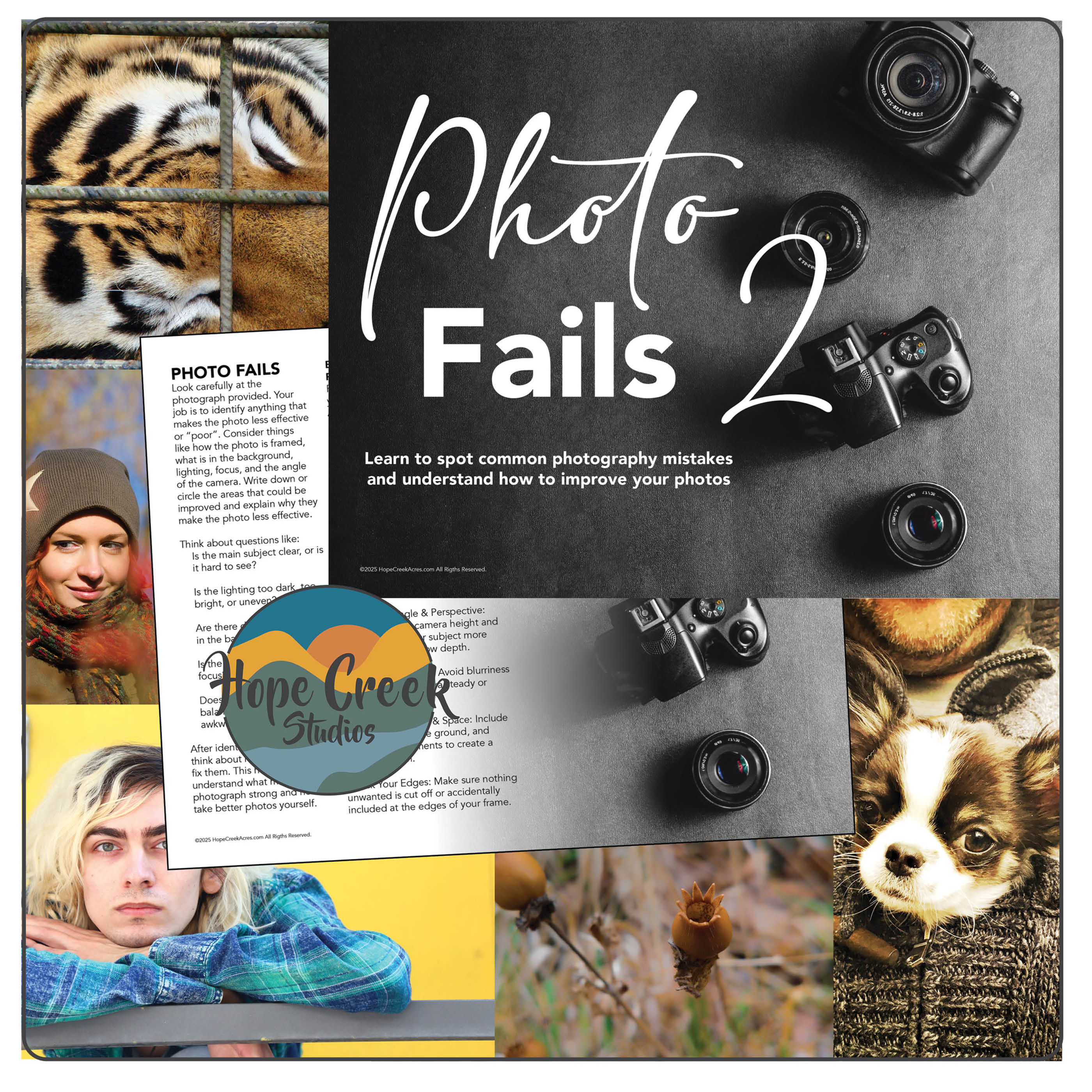 Photography Curriculum –Discussion Starters & Project: Understand Bad Art Photos