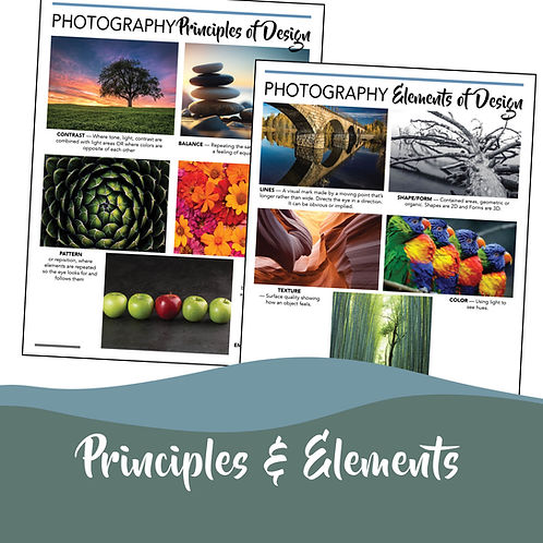 Photography Principles Elements & Principles of Art – Photography Challenge & Quick-Reference ...
