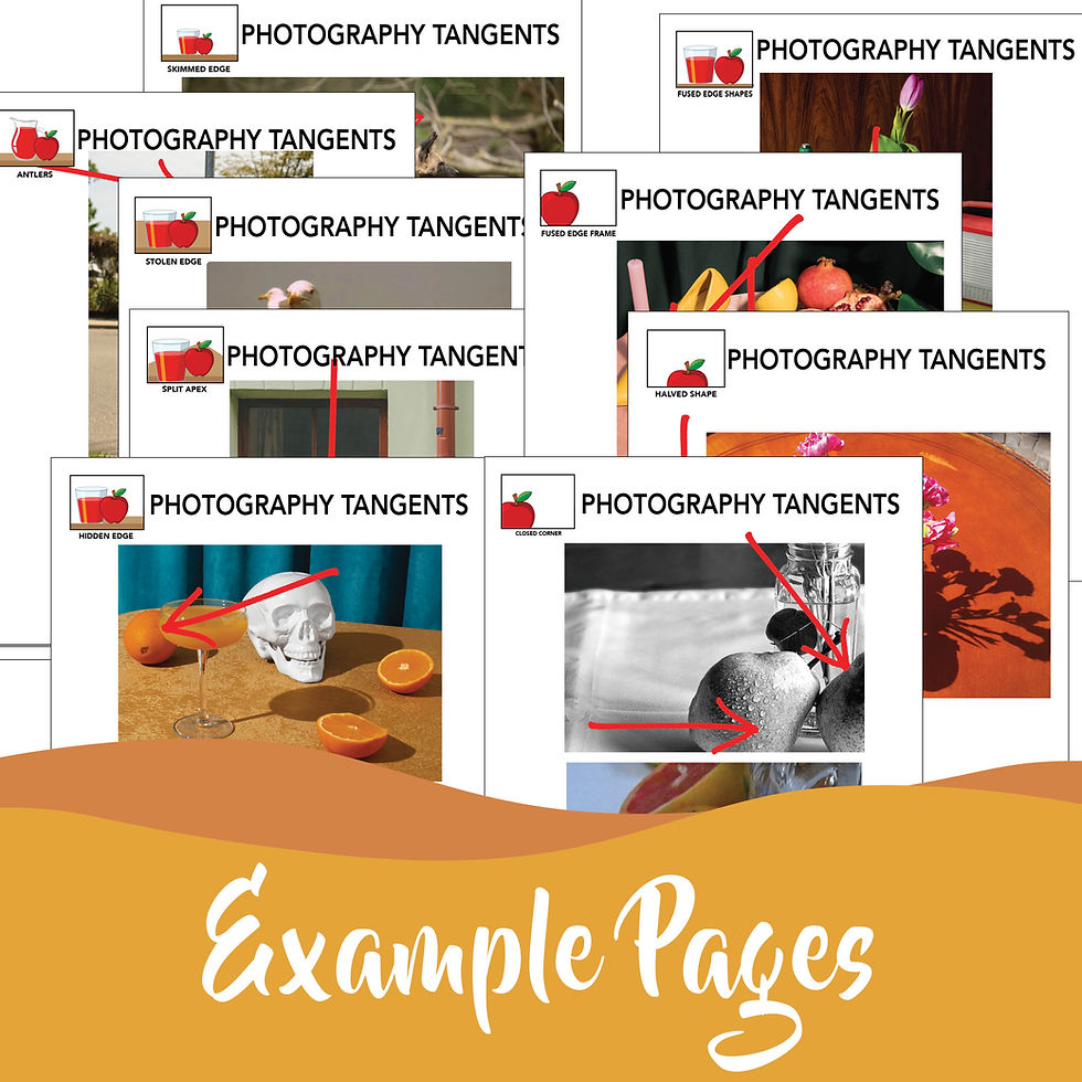 Thumbnail: Art & Photography Tangents Common Composition Mistakes Lesson Worksheet