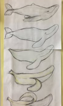 morphing art exercise - whale to banna
