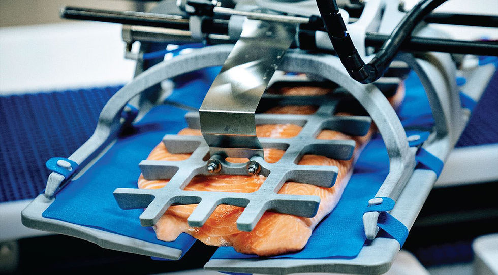 PostPro SF100 Vapor Smoothing em gripper para salmão