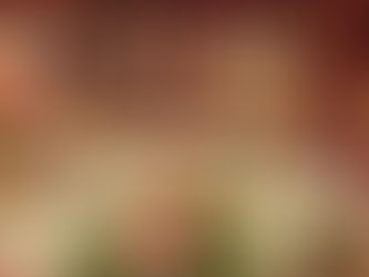 Spinster Tips for Holiday Prep 