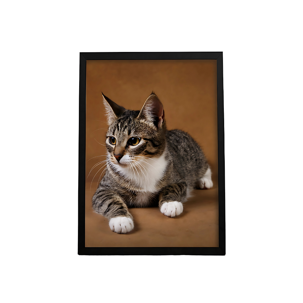 Miniatura: Personalização de Quadro com moldura simples