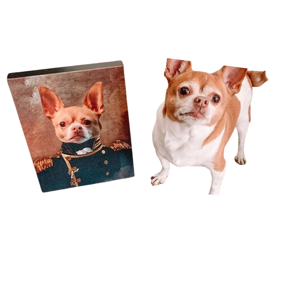 Miniatura: Retratos de pets gravados - A partir de R$43.75