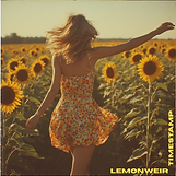 Lemonweir Timestamp Album Cover.png