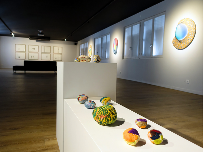 L'artiste Delphine Caraz expose son travail à la galerie d'art contemporain La Villa Balthazar à Valence, dans la Drôme