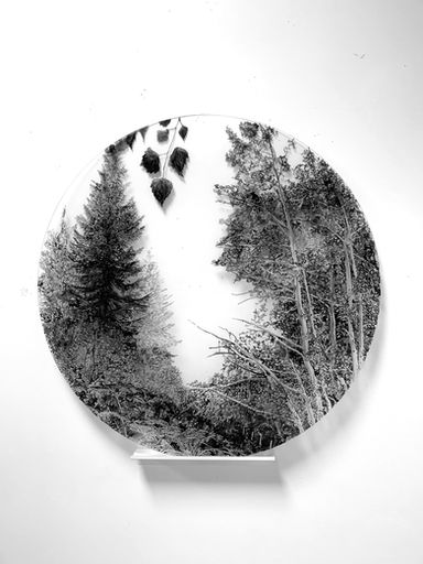 Oeuvre de Sophie Dupre à la galerie d'art contemporain La Villa Balthazar à Valence, dans la Drôme