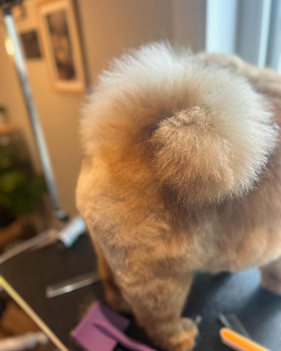 475882252_17863623399337415_9036883492731092856_n