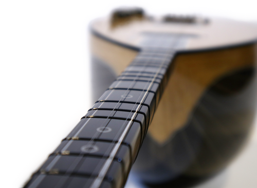 Ebony X - Electric Saz | Erasaz