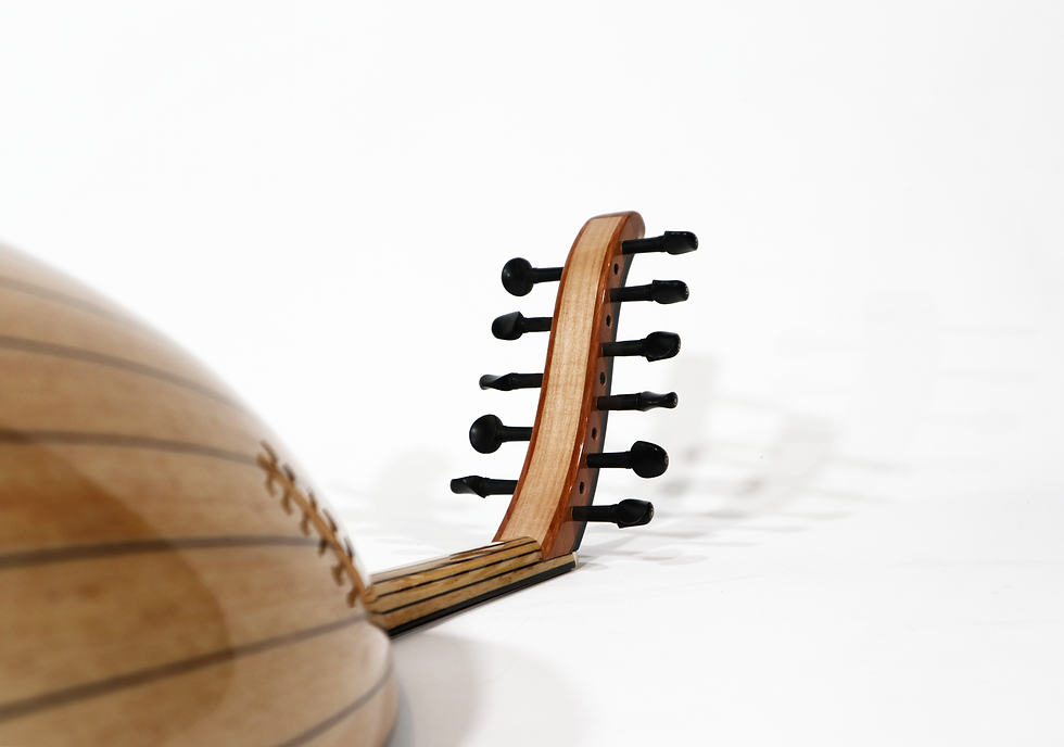 Thumbnail: Pro Ayous Stage Turkish Oud