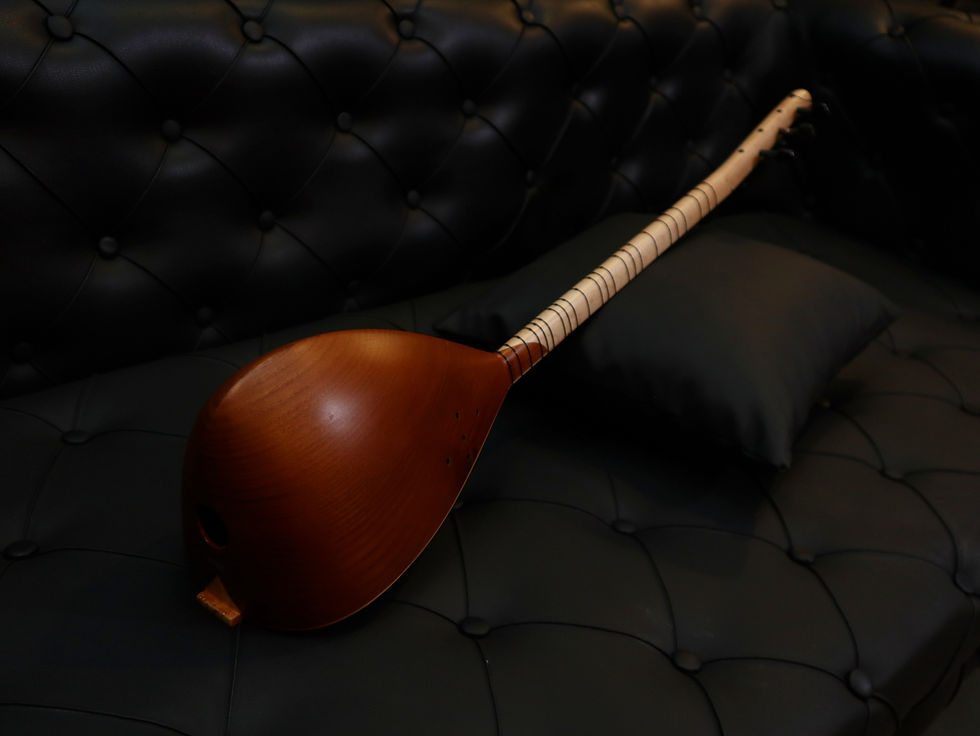 Küçük resim: ERASAZ Pro Balta Saz 29 – EBS-M29