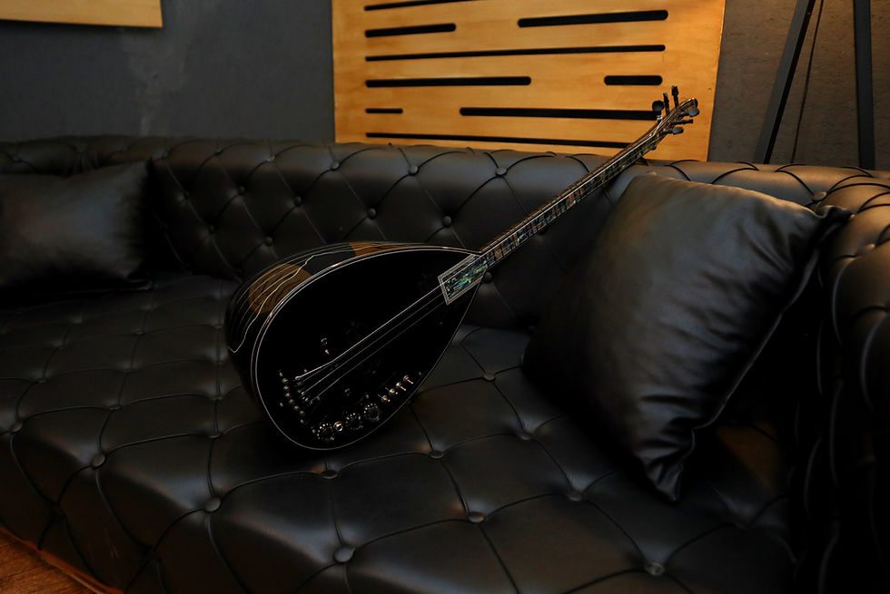 Küçük resim: Ebony Series Electric Saz