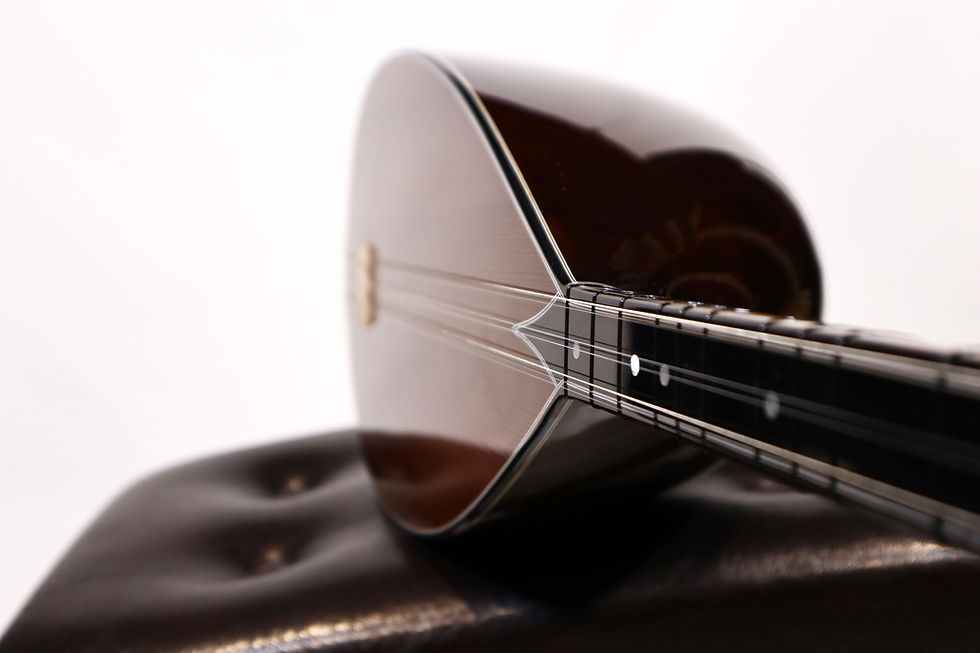 Küçük resim: Darkened Carved Mulberry Long Neck Saz