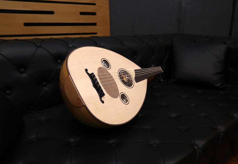 Thumbnail: Pro Ayous Stage Turkish Oud