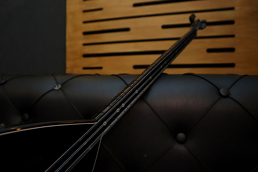 Küçük resim: Ebony Series Stage Acoustic Saz