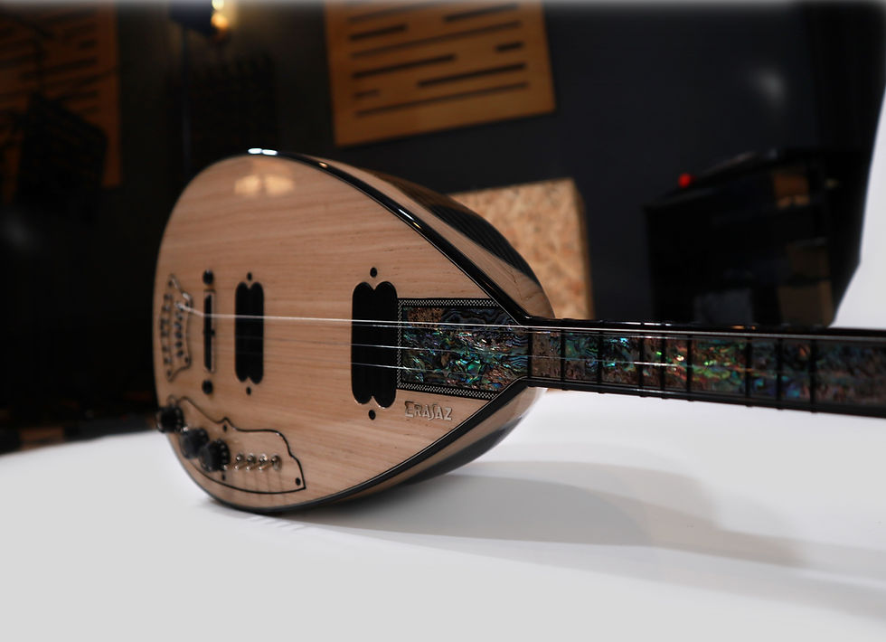 Küçük resim: Ebony X Electric Saz (Metal pegs, Guitar style)