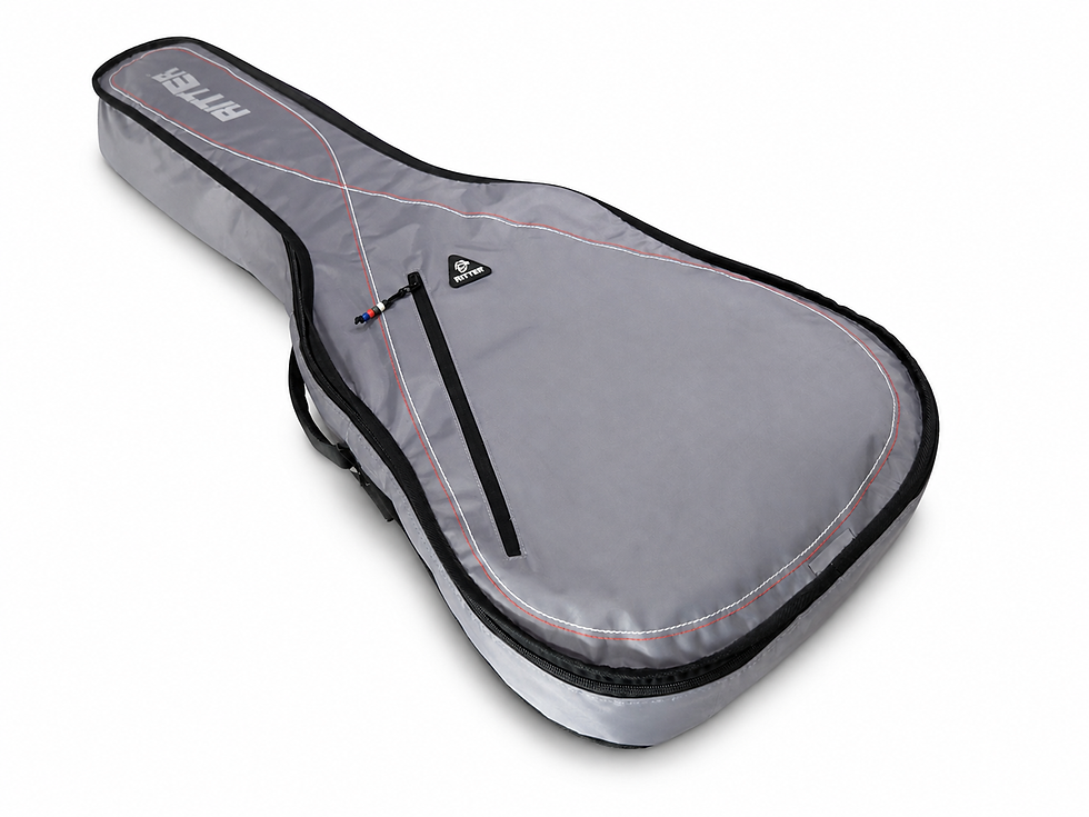 Küçük resim: Ritter RGP2-D/SRW Dreadnought Akustik Gitar Kılıfı – Silver Grey / Red / White