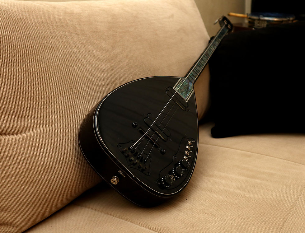 Thumbnail: ebony silent saz, ebony silent instrument photo, guitar alternatives