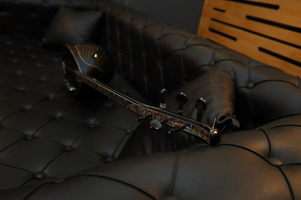 Küçük resim: Ebony Series Electric Saz