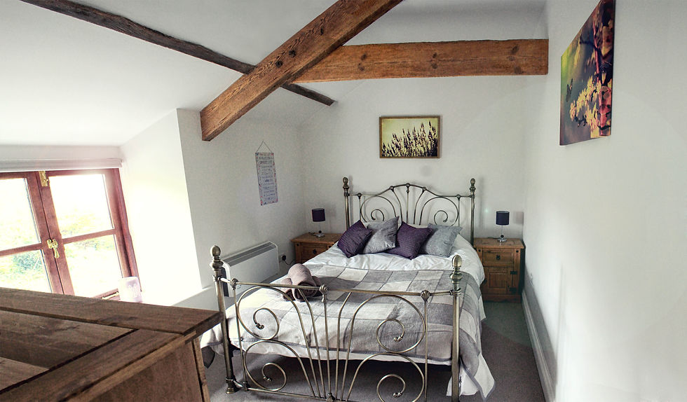 Molly Cottage