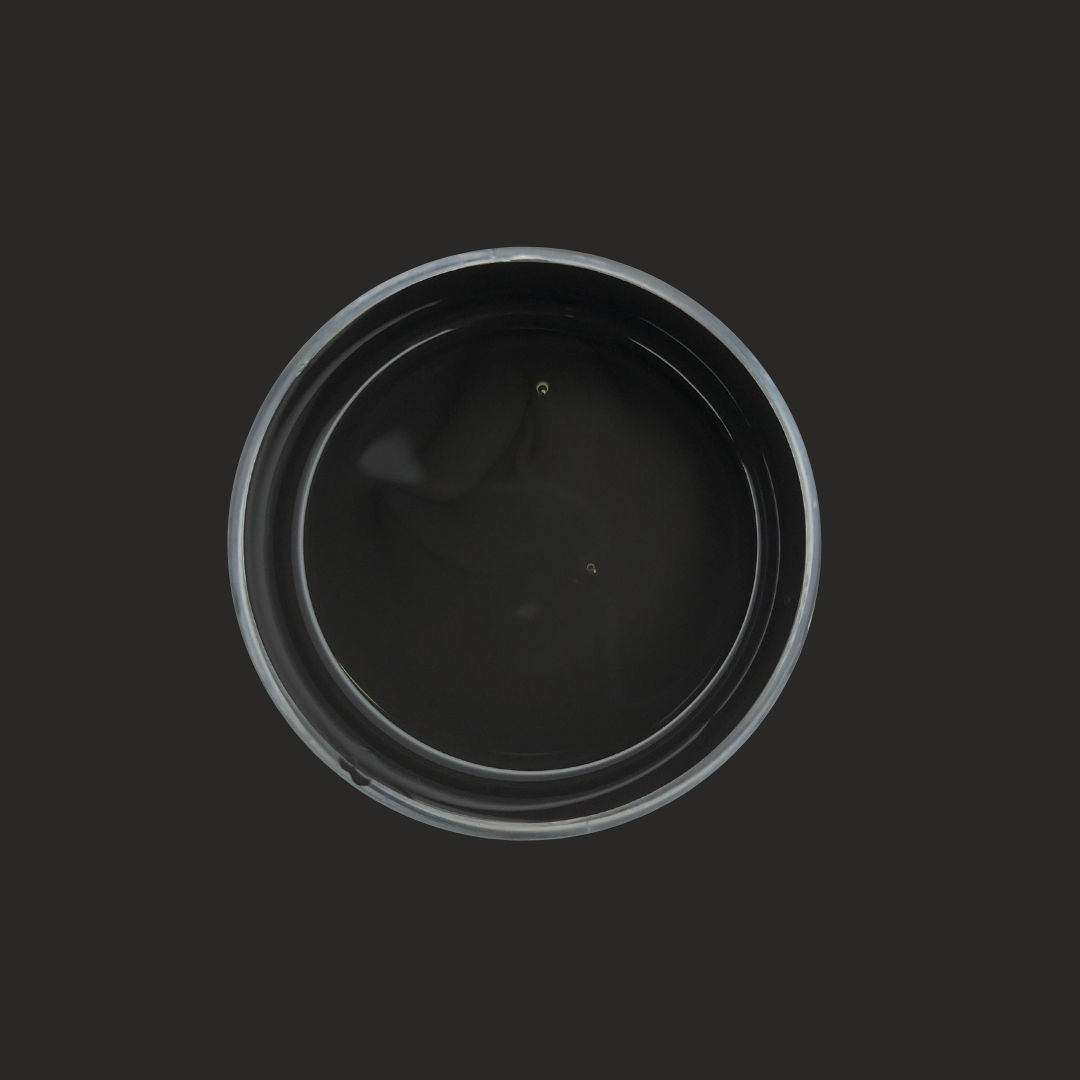 Mineral Paint: Gumboot