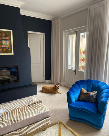 Dark blue accent wall with a matching blue velvet chair and cream-colored curtains.