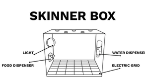격자화된 삶 속에서: 장강명,『먼저 온 미래 -AI 이후의 세계를 경험한 사람들』, 동아시아, 2025 리뷰 / 김민수