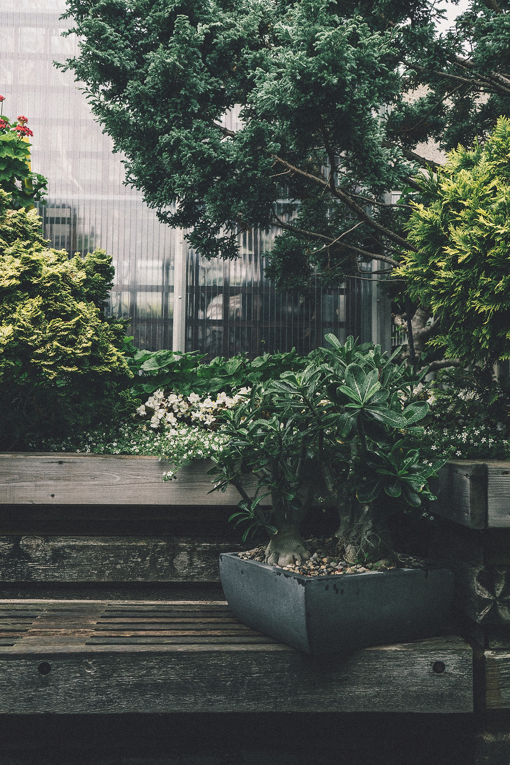 Urban Garden