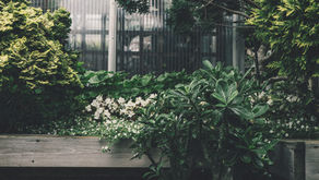 Symbolism of "A Garden"