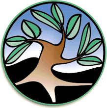 LogoAPA.gif