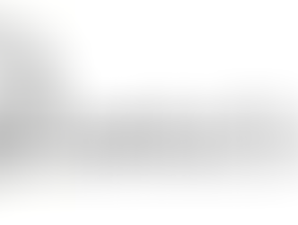 Dans la spirale des plantes...