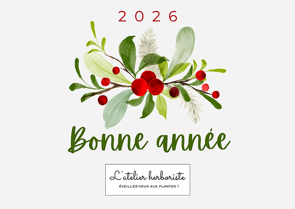 Bonne année 2026.png