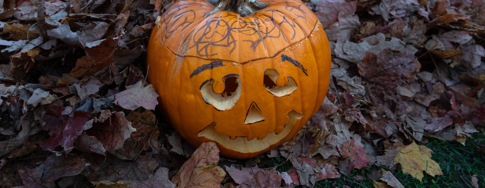 And the treats were thoroughly enjoyed.