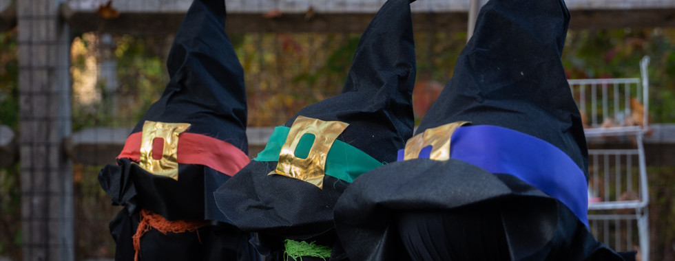 And the treats were thoroughly enjoyed.