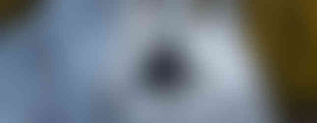 And the treats were thoroughly enjoyed.