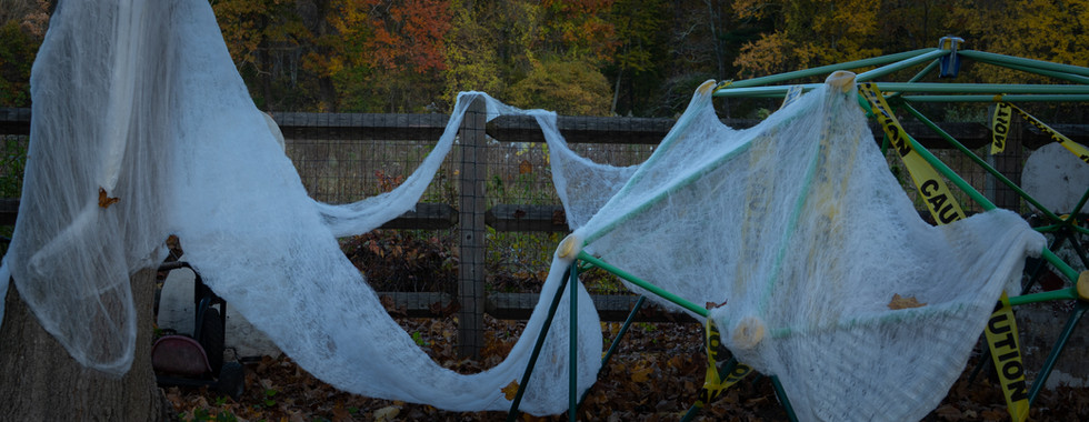 And the treats were thoroughly enjoyed.