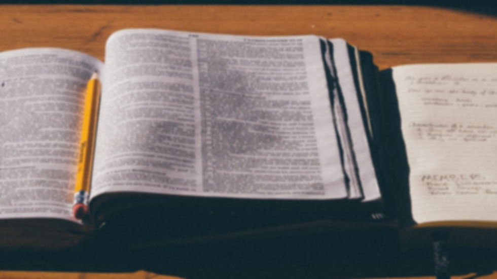 6025d5657b3c32e2dea9d12f_60214a0d04e1587f9c97b944_aaron-burden-Pxm-TUd61vY-unsplash_edited