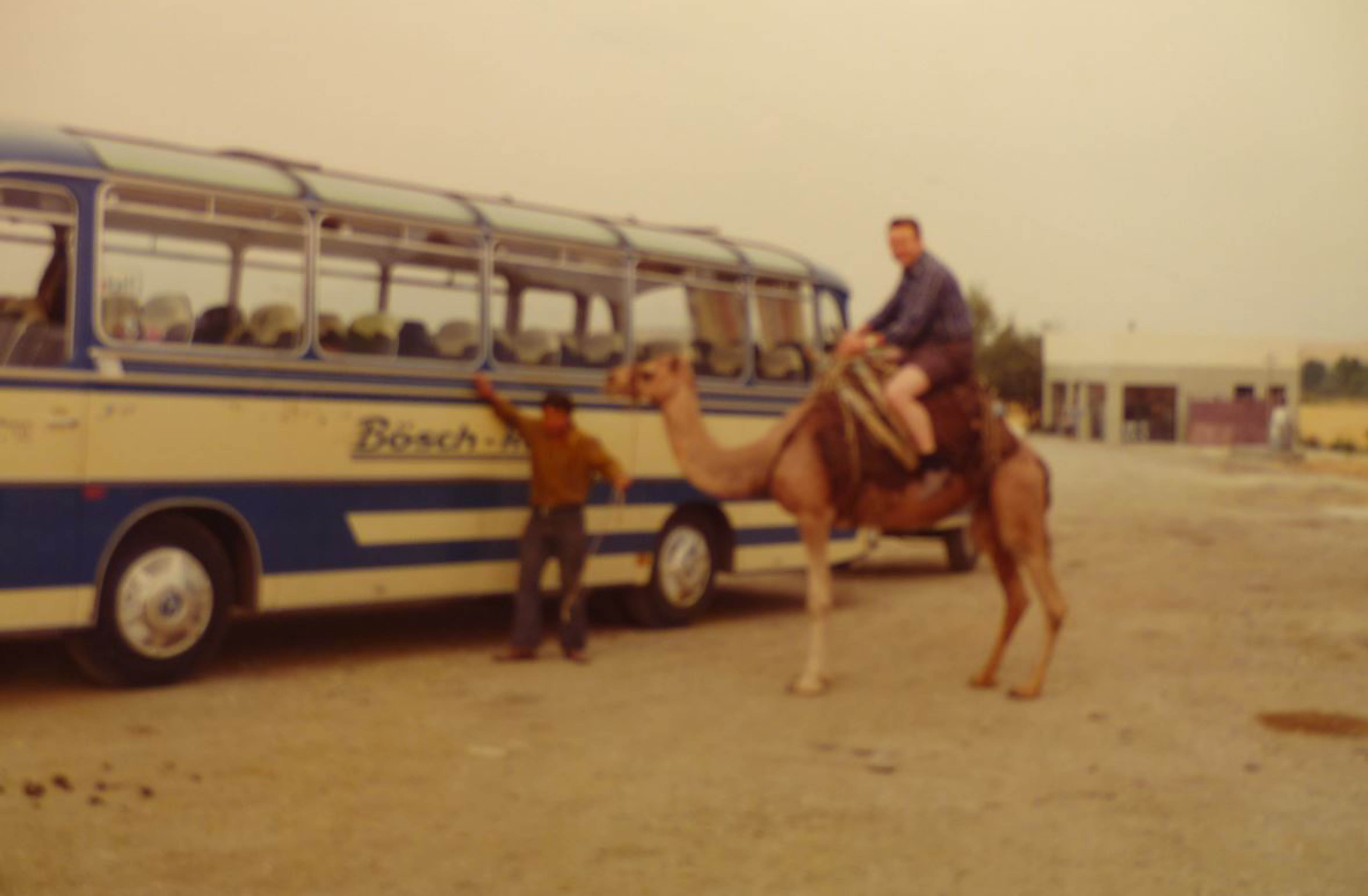 1966
