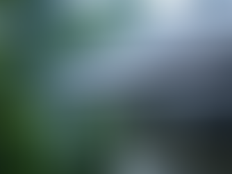 How to Protect Your Roof During Heavy Rain and Winter Storms